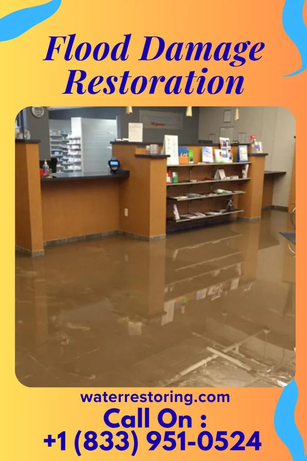 Flood Damage Restoration in Peoria Heights, IL